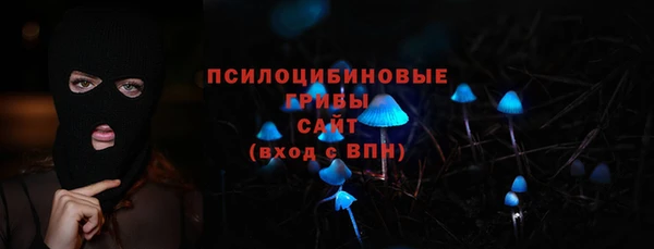 PSILOCYBIN Балабаново